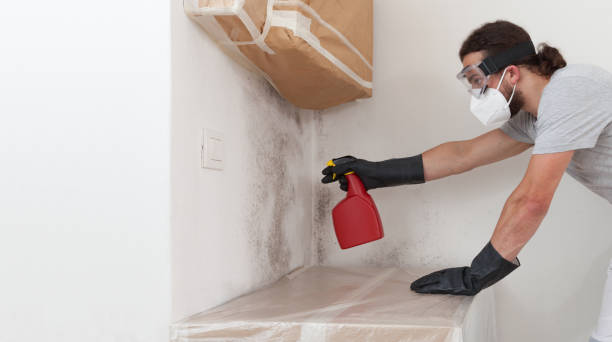 Professional Bathroom Mold Removal technician working in Alden, MI
