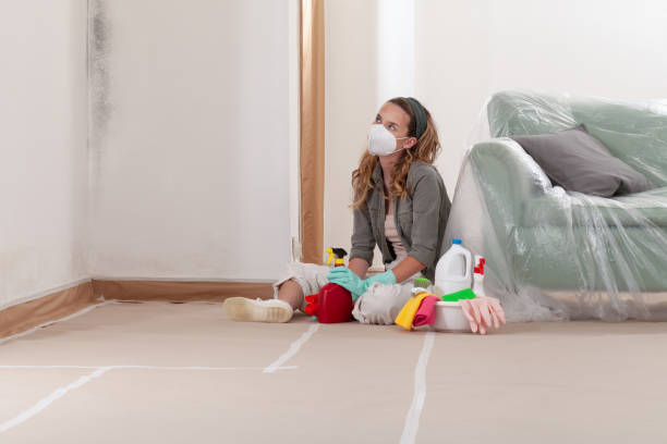 Trusted Basement Mold Remediation service in Alden, MI - Cheap Mold Removal